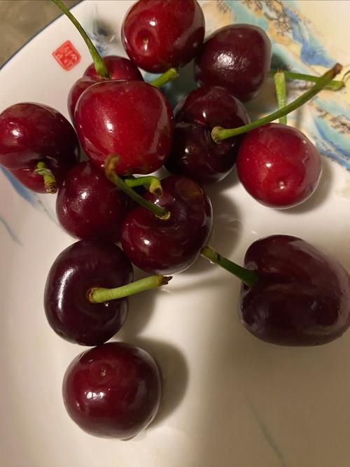 夏日樱桃红，尝鲜正当时